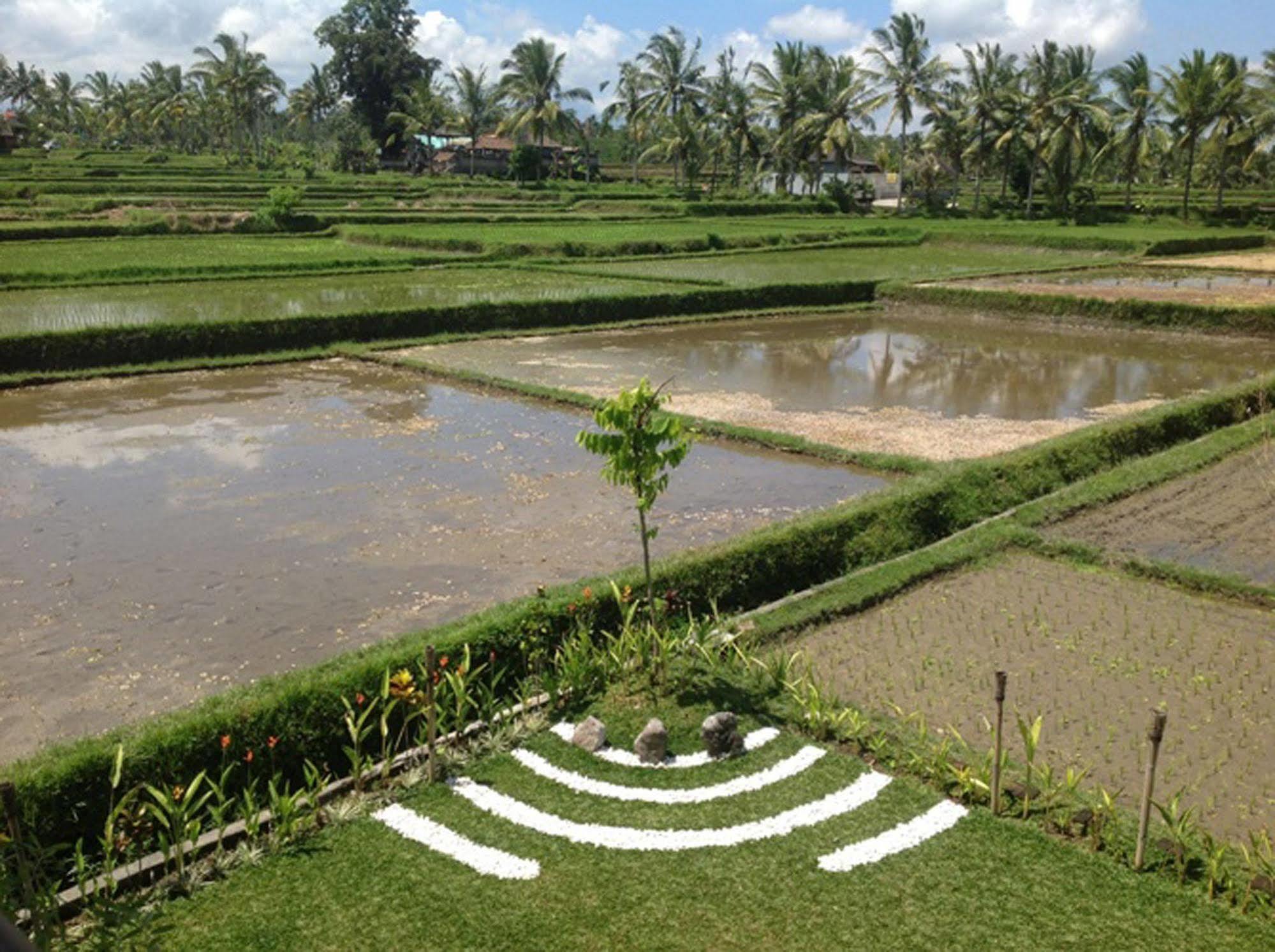 Manyi Village Ubud Luaran gambar